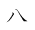hachi