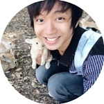 VinnTeo